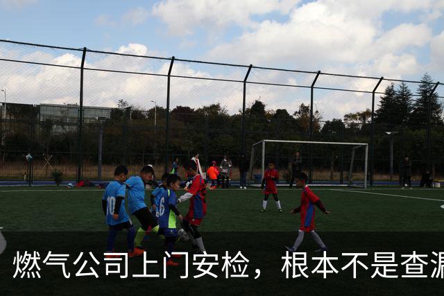 燃气公司上门安检，根本不是查漏气！真正目的其实是这三件事